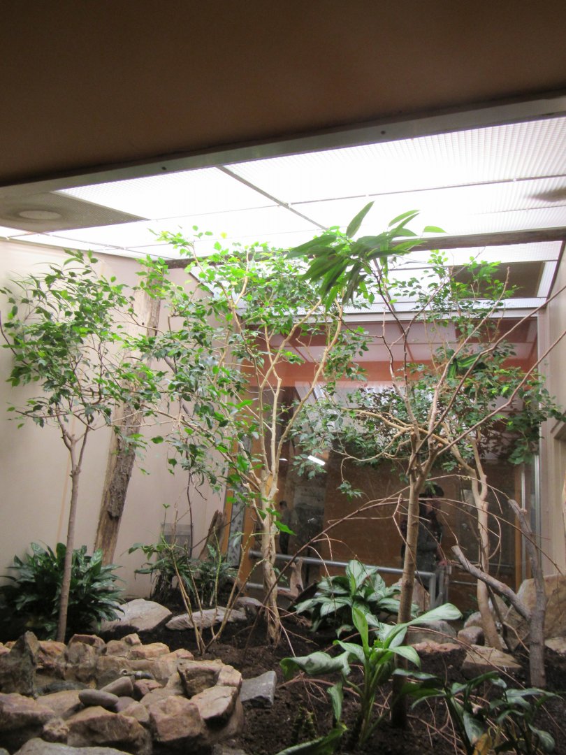 Old Bird House- Aviary 9