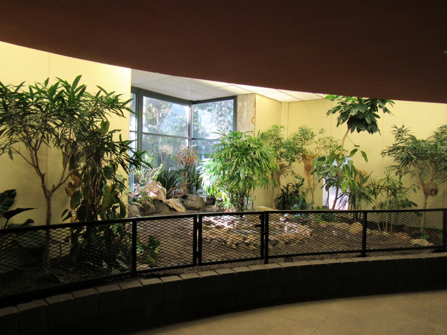 Old Bird House- Decoration