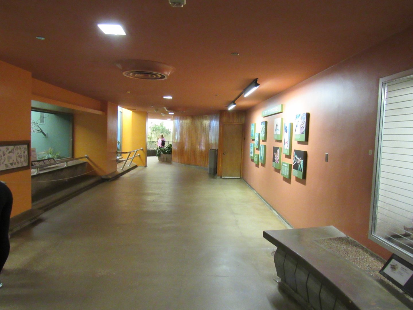 Old Bird House- Generic Hallway View