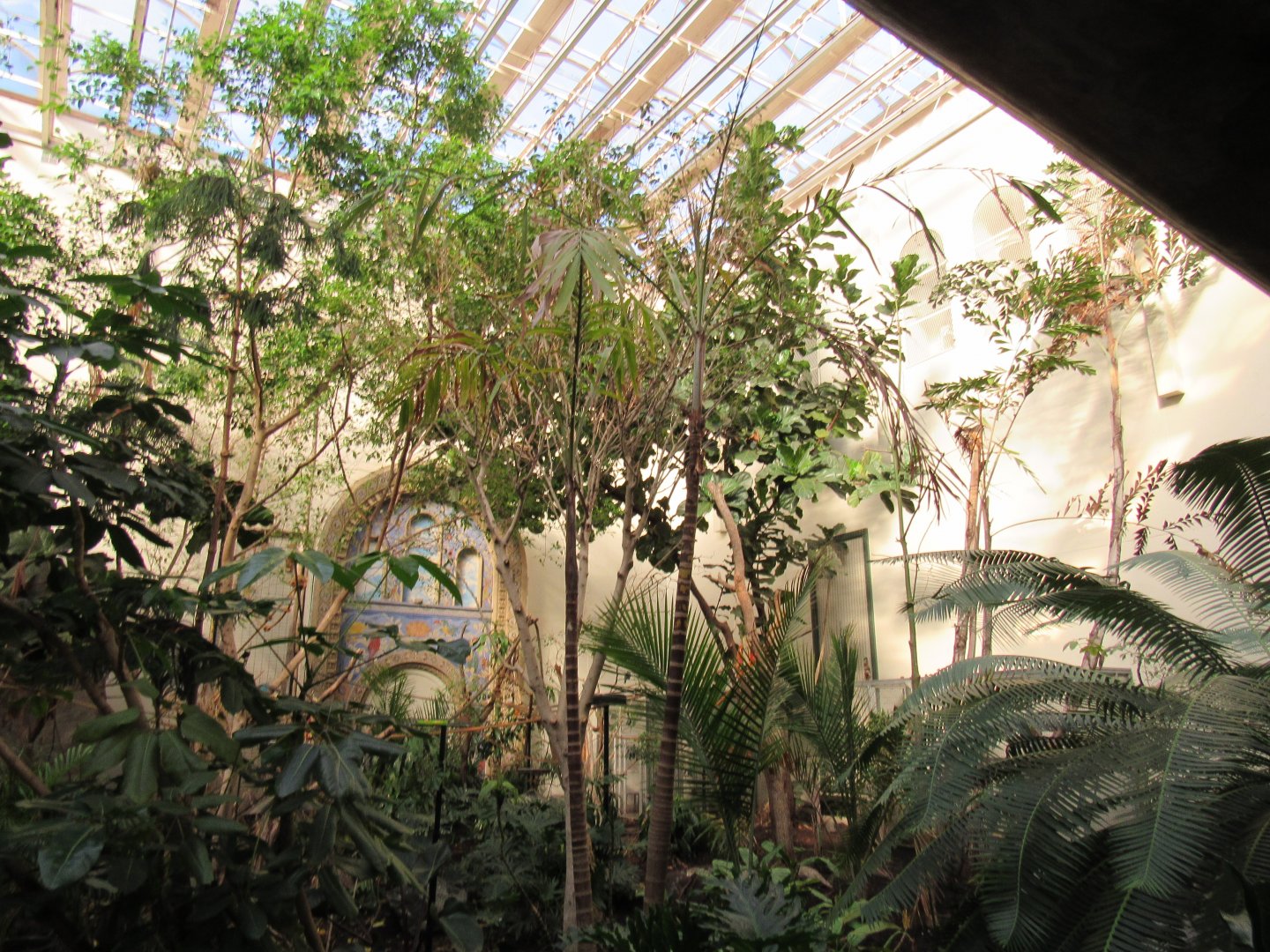 Old Bird House- Great Flight Room