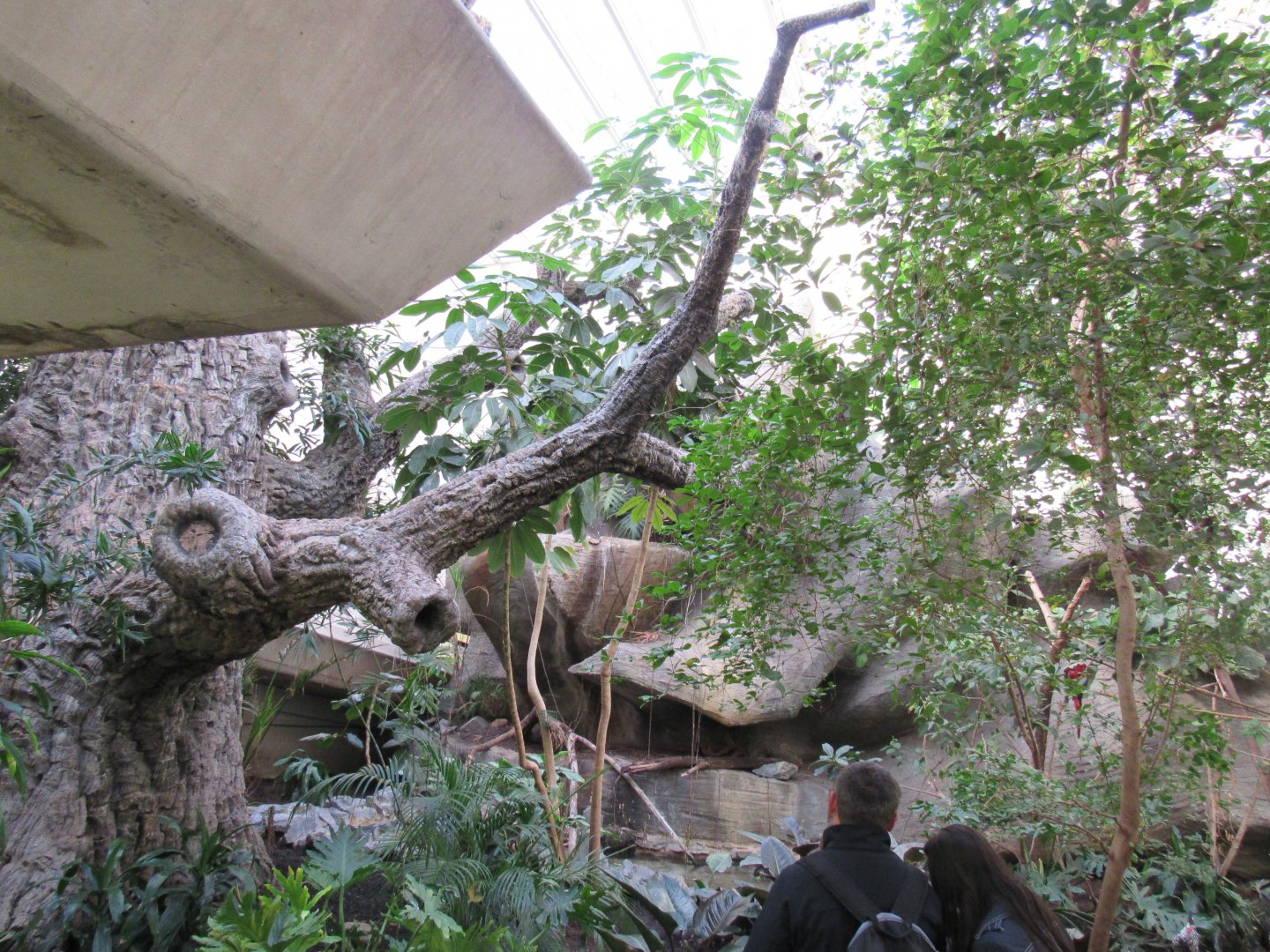 Old Bird House- Great Flight Room