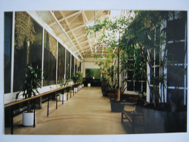 Old Bird House inside 6th October 1999.