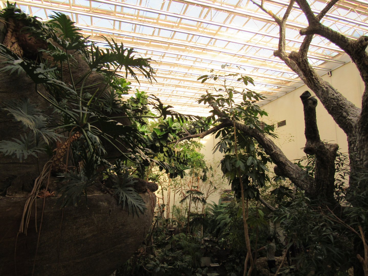 Old Bird House- Upper Level Viewing of Great Flight Room