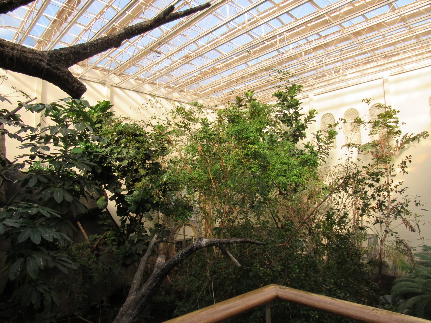 Old Bird House- Upper Level Viewing of Great Flight Room