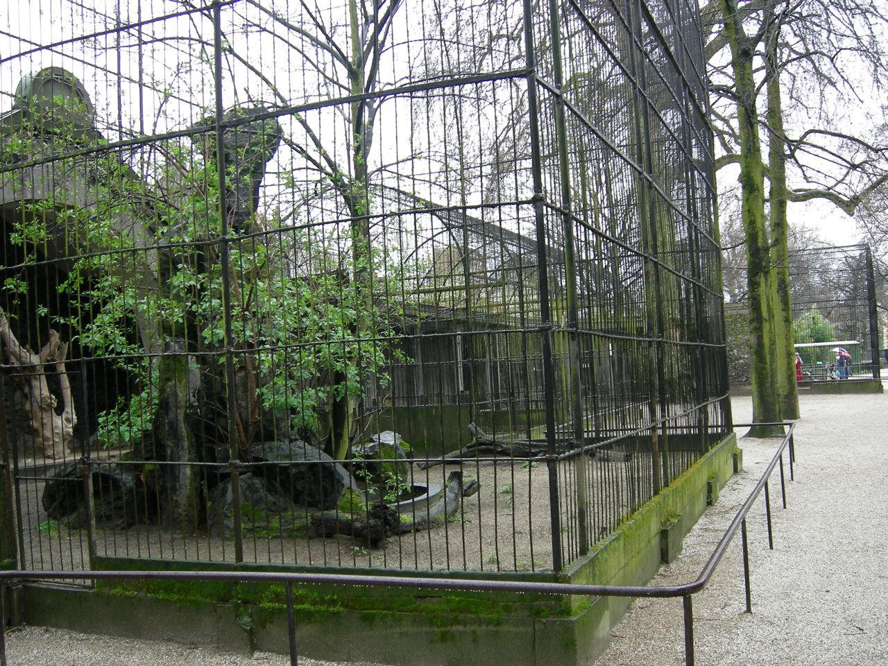 Old bird of Prey aviaries