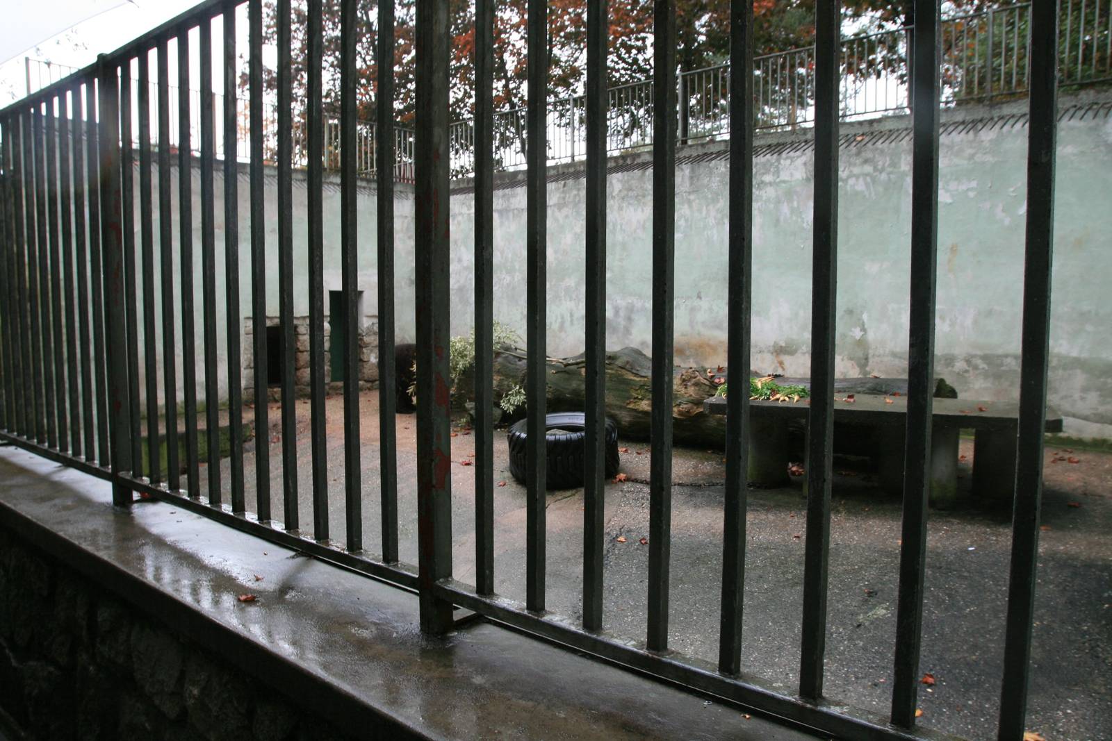 Old Black-bear pit 2007