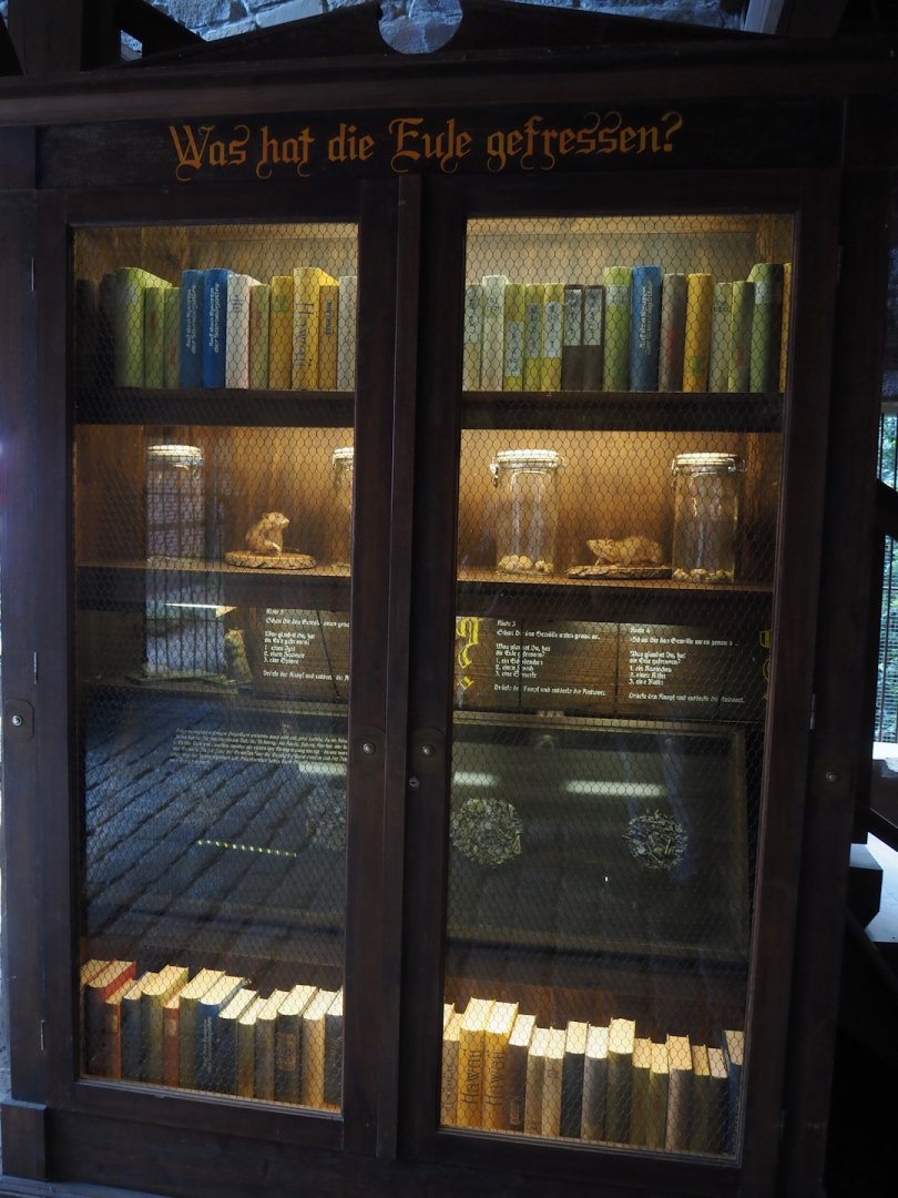 Old bookcase with owl pellets and owl nutrition display, 2024-05-21