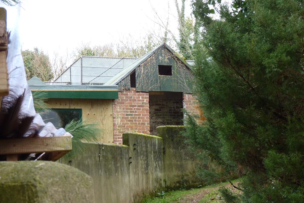 Old Building Revealed (#2 of 3) 7 March 2012