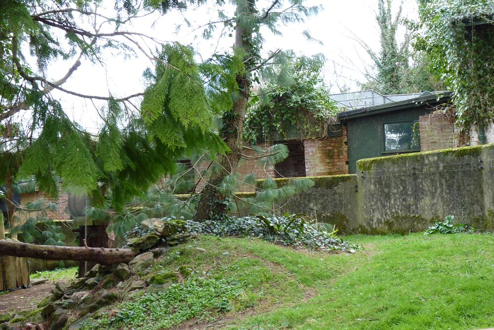 Old Building Revealed (#3 of 3) 7 March 2012