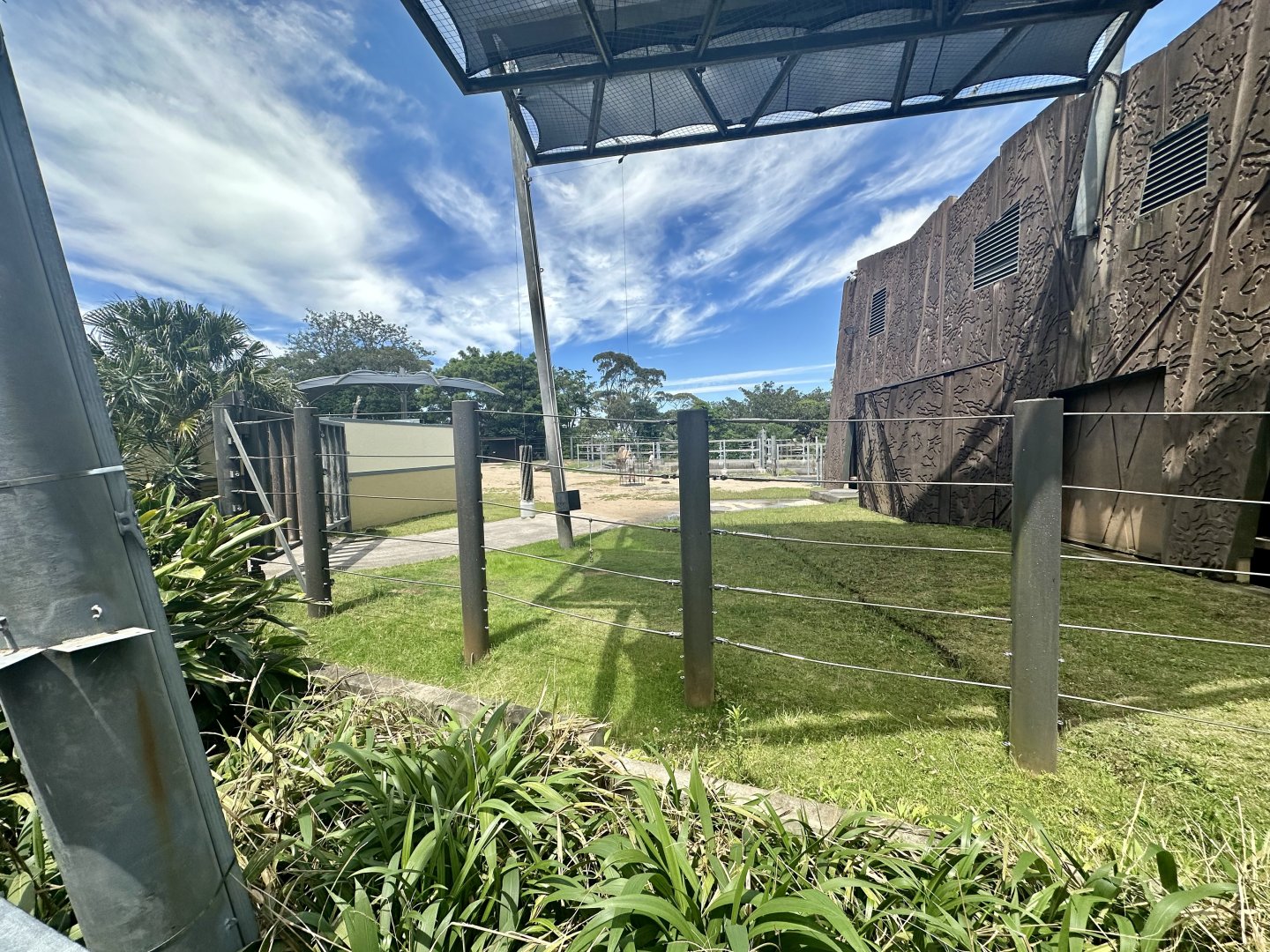 Old Bull Elephant Exhibit