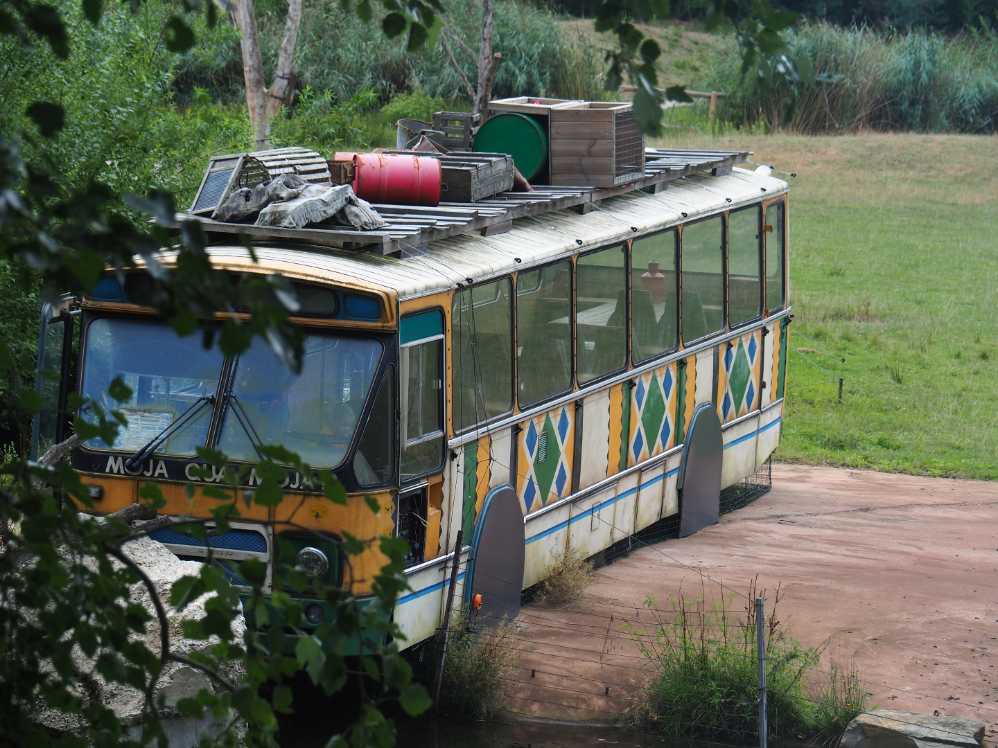 Old bus as viewing area and theming for the reticulated giraffe exhibit, 2019-08-11