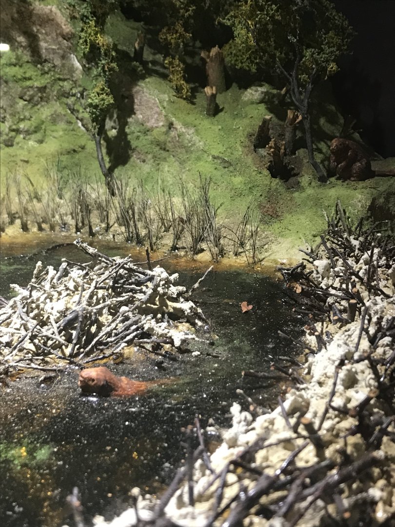 Old Byre heritage centre: Beaver model