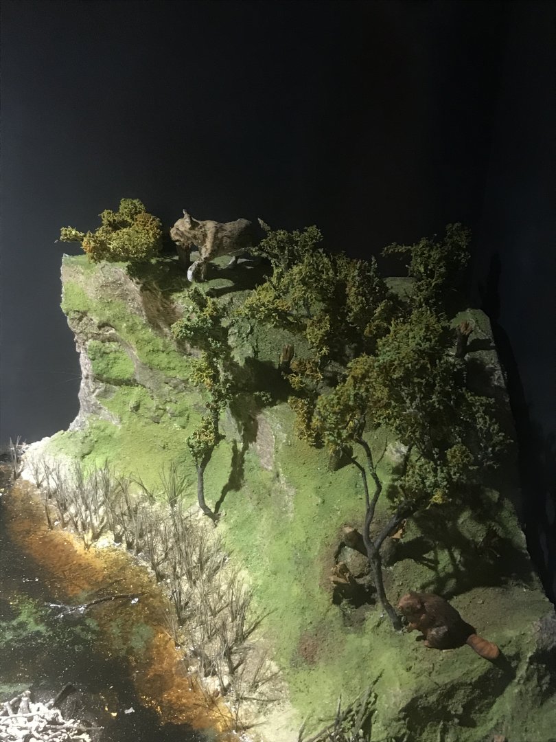 Old Byre heritage centre: Depiction of wildlife in Mull in approx. 6000BC