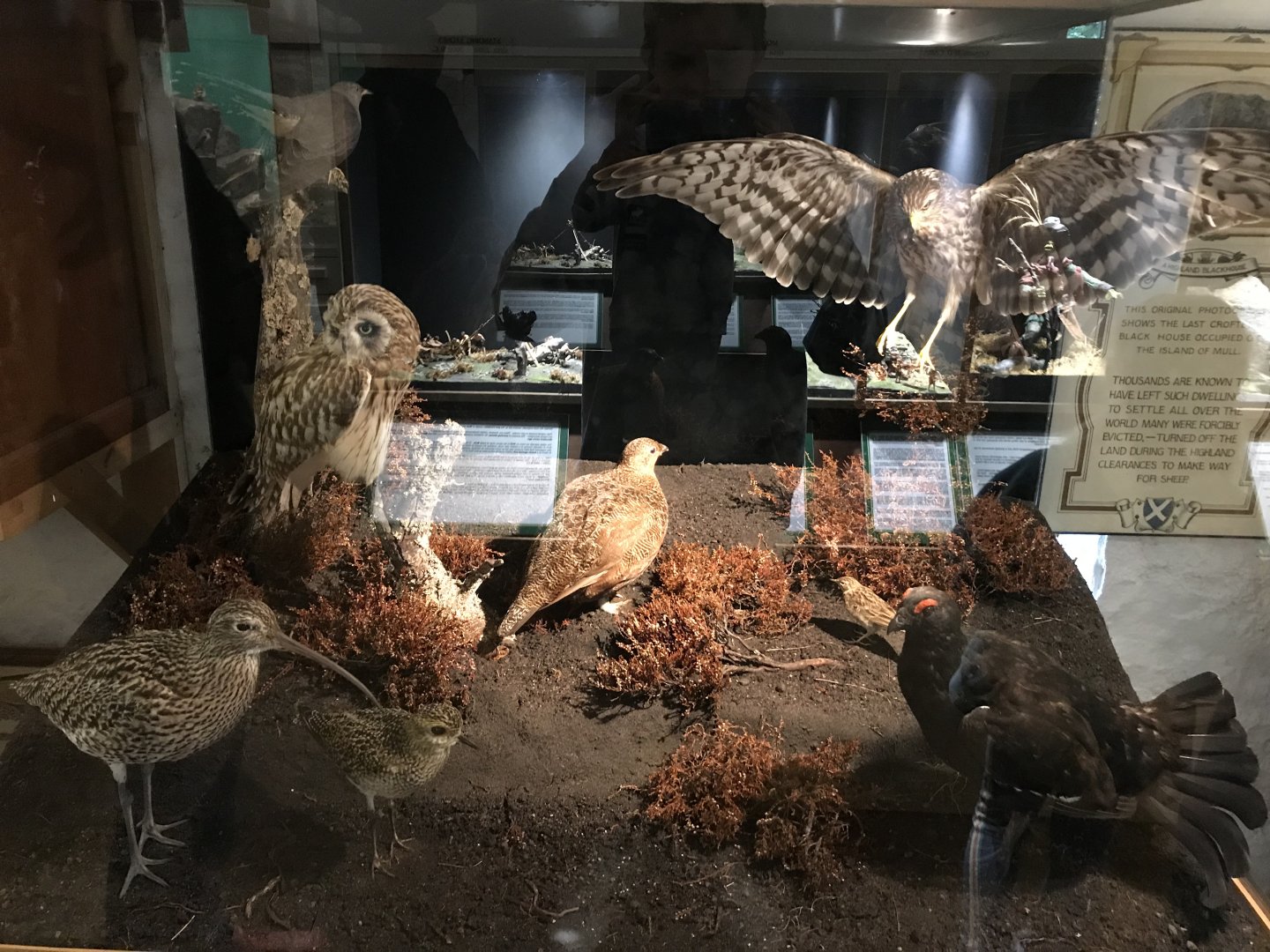 Old Byre heritage centre: Moorlands diorama