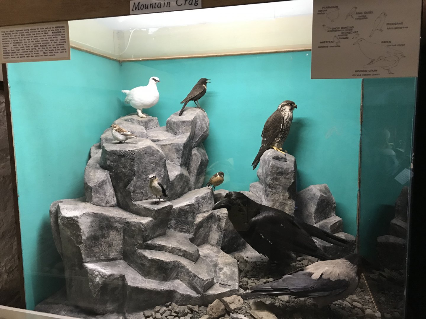 Old Byre heritage centre: Mountain crags diorama
