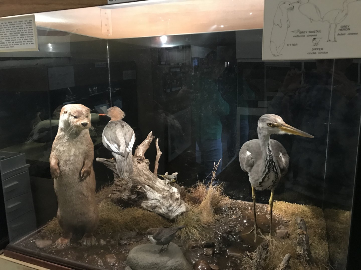 Old Byre heritage centre: Riverside diorama