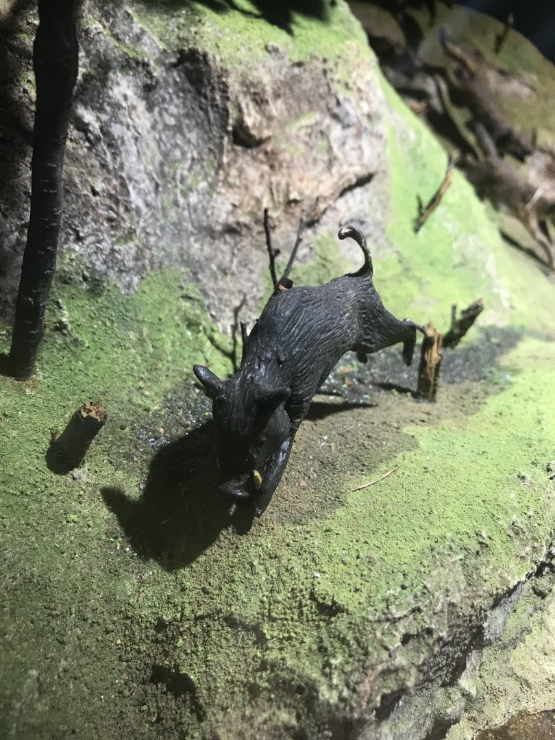 Old Byre heritage centre: Wild boar model