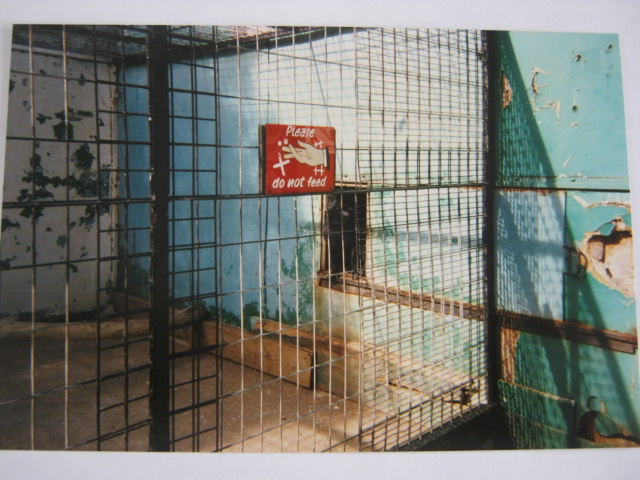 Old cage showing damaged wall. 12/3/90.