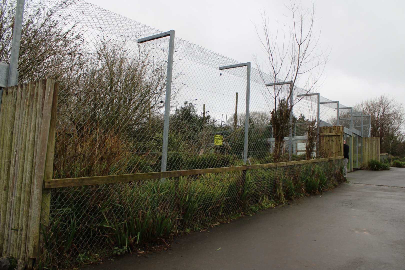 Old Canada Lynx Enclosure