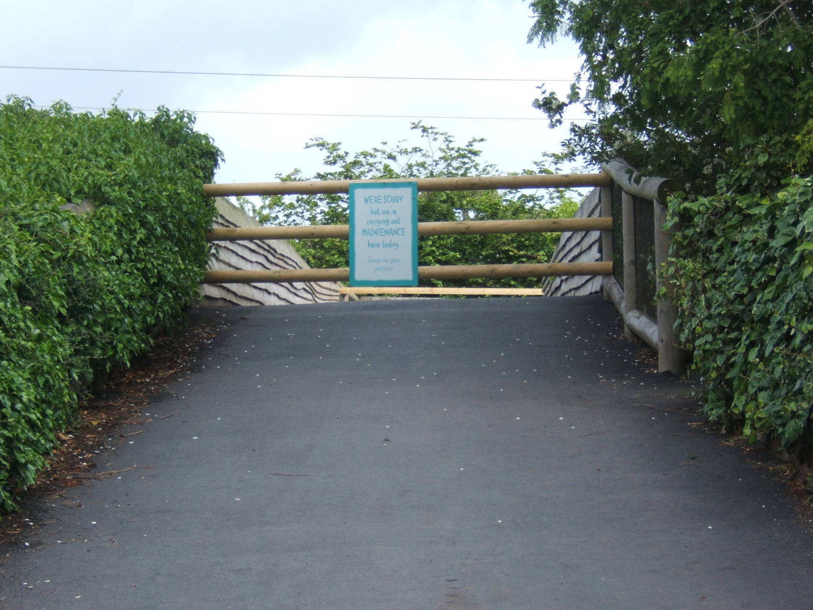 Old canal bridge my tropical realm now closed off