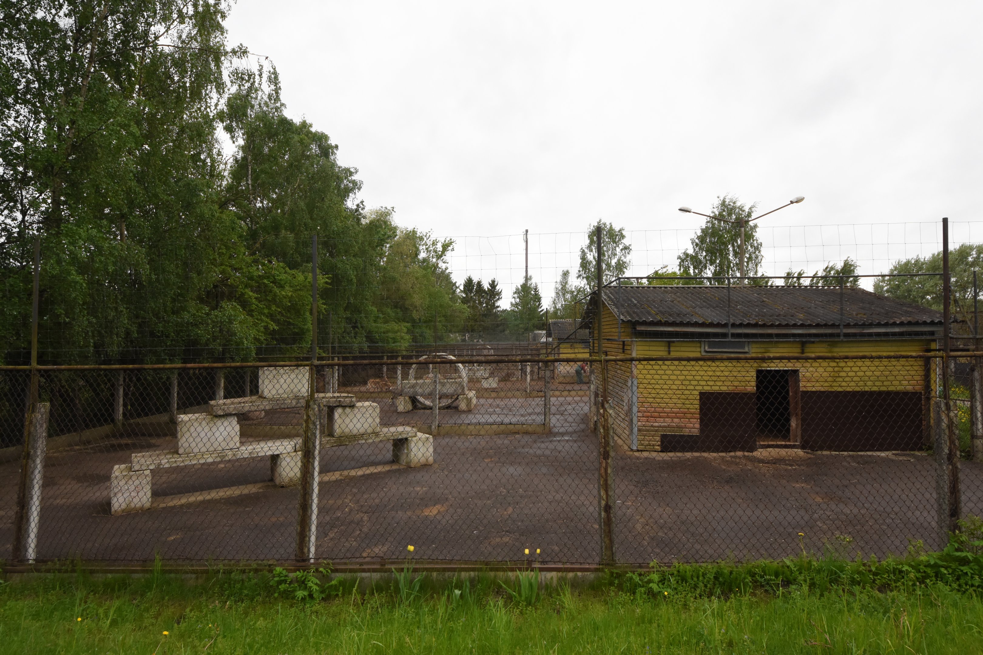 Old caprine enclosures