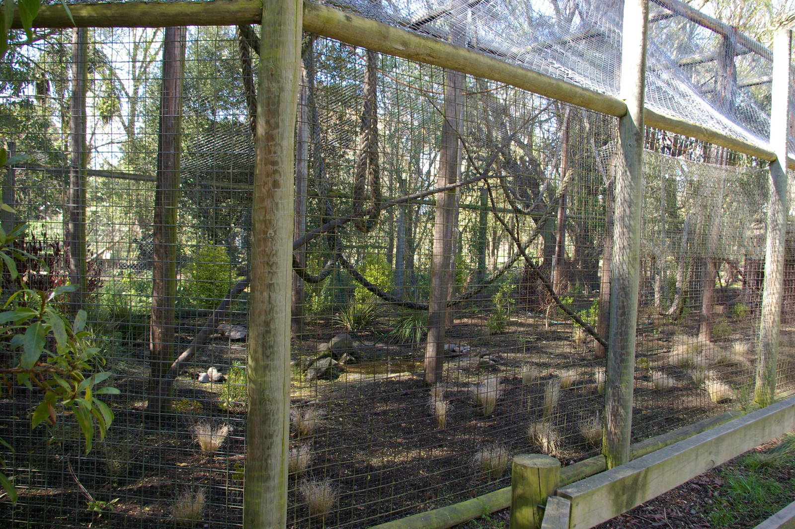 old capuchin cage