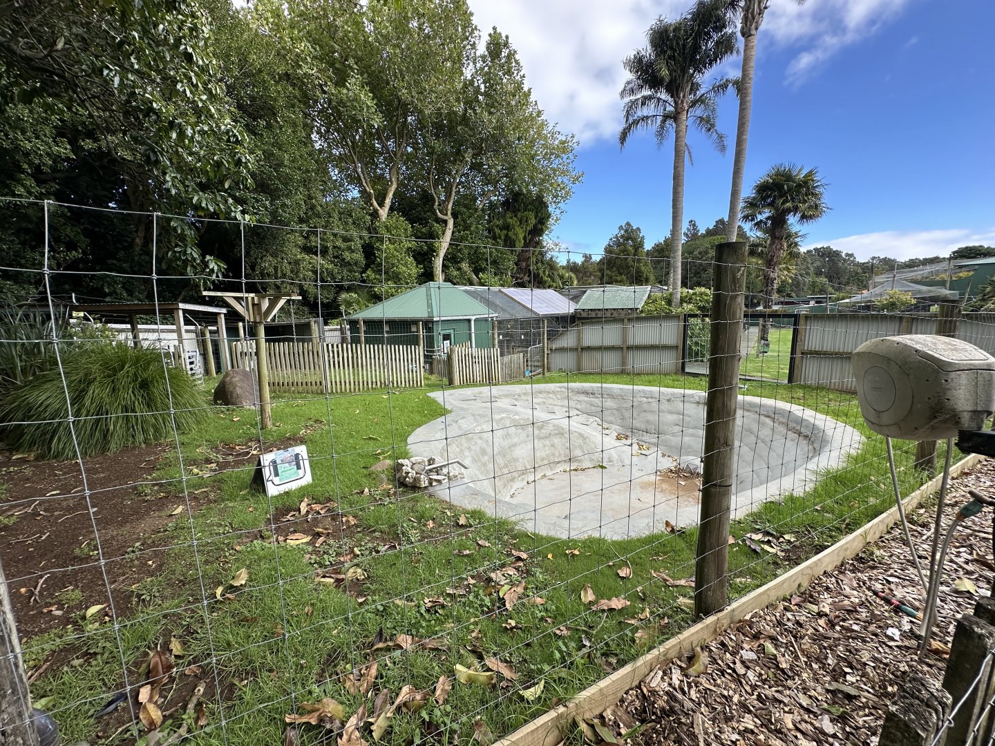 Old Capybara Exhibit