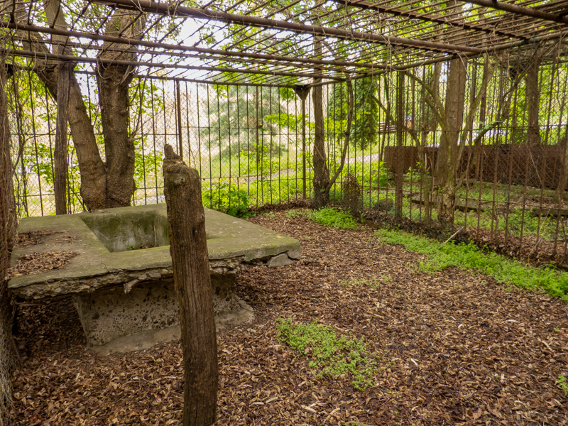 old carnivore cage - inside