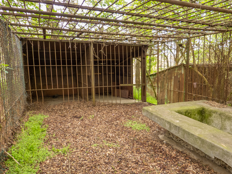 old carnivore cage - inside