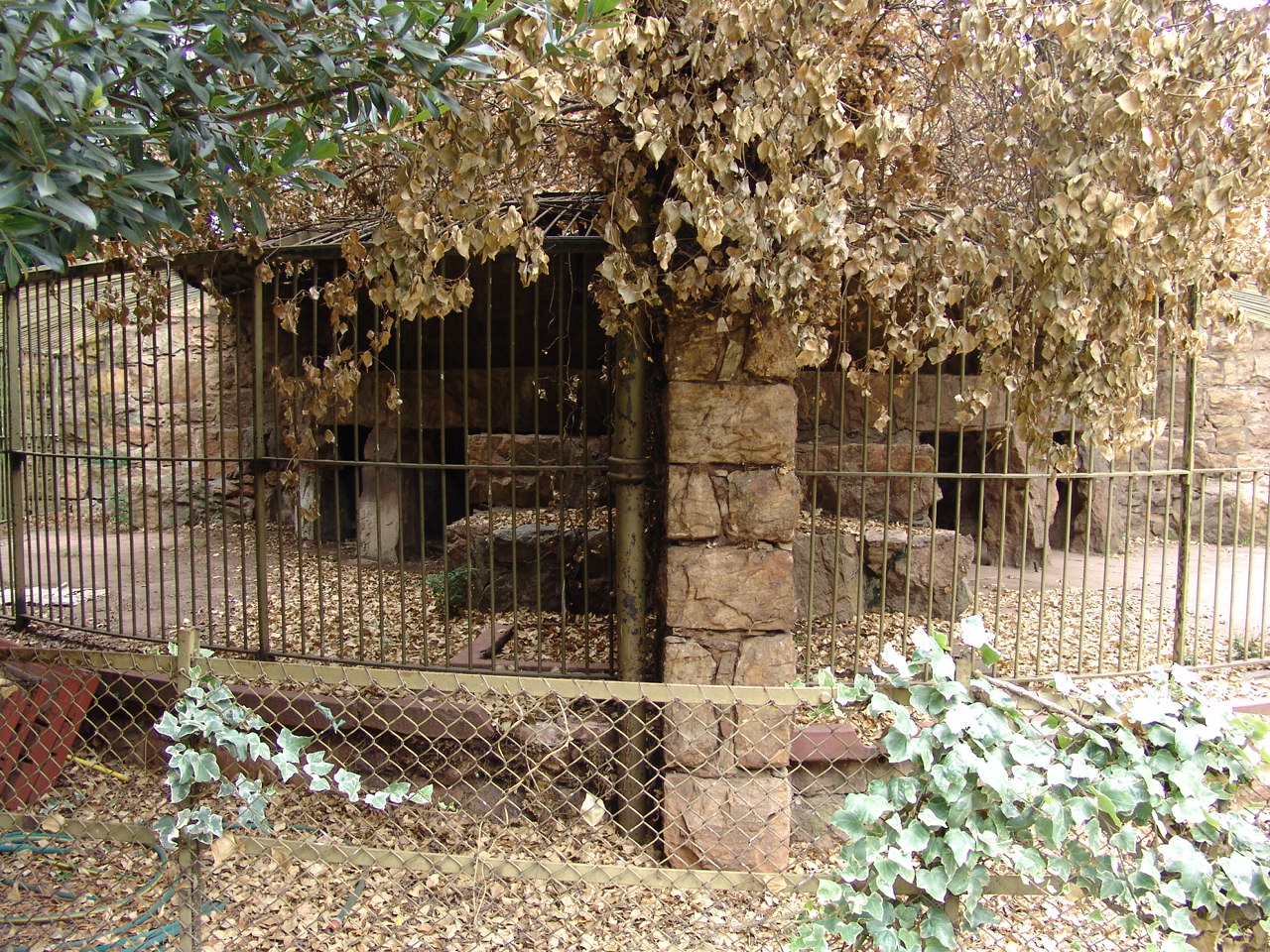 Old carnivore enclosure 2