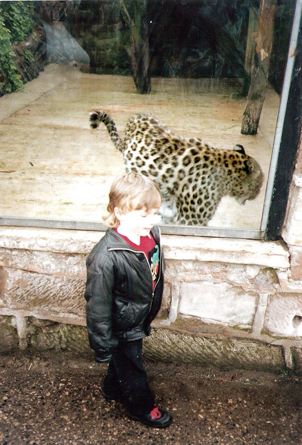 Old Cat House - The Persian Leopard and I