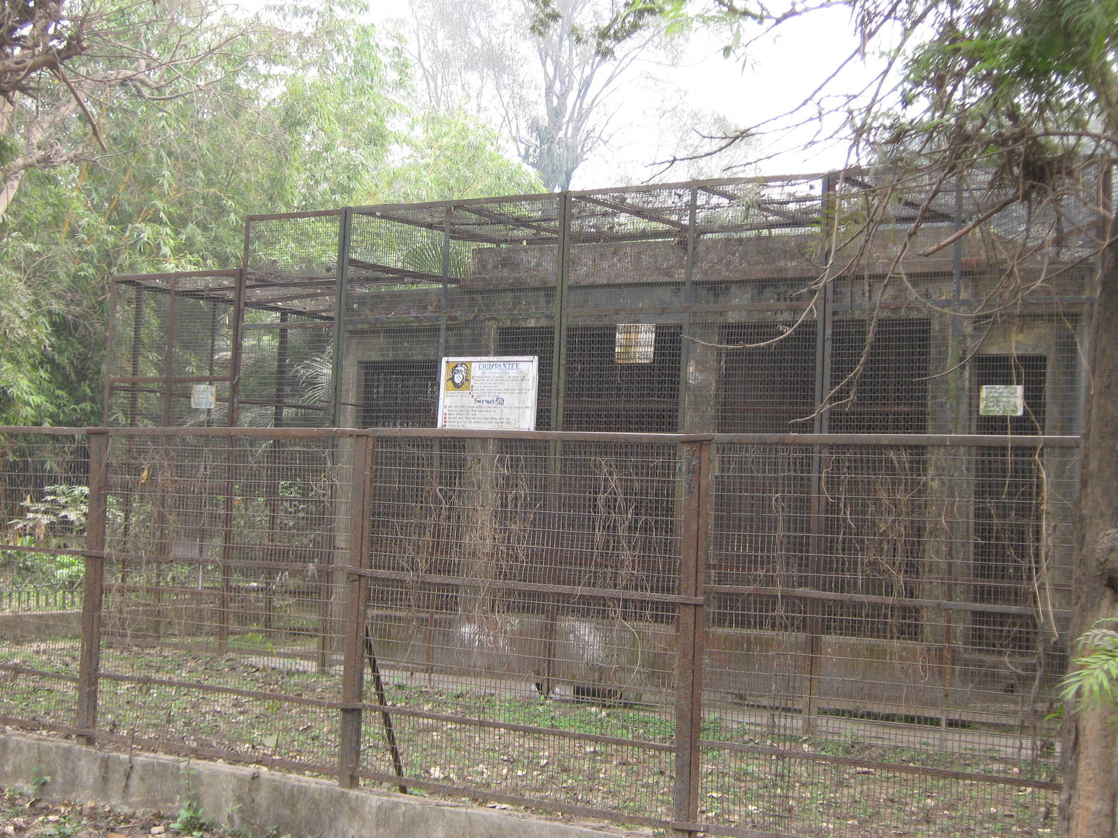 old chimpanzee cage