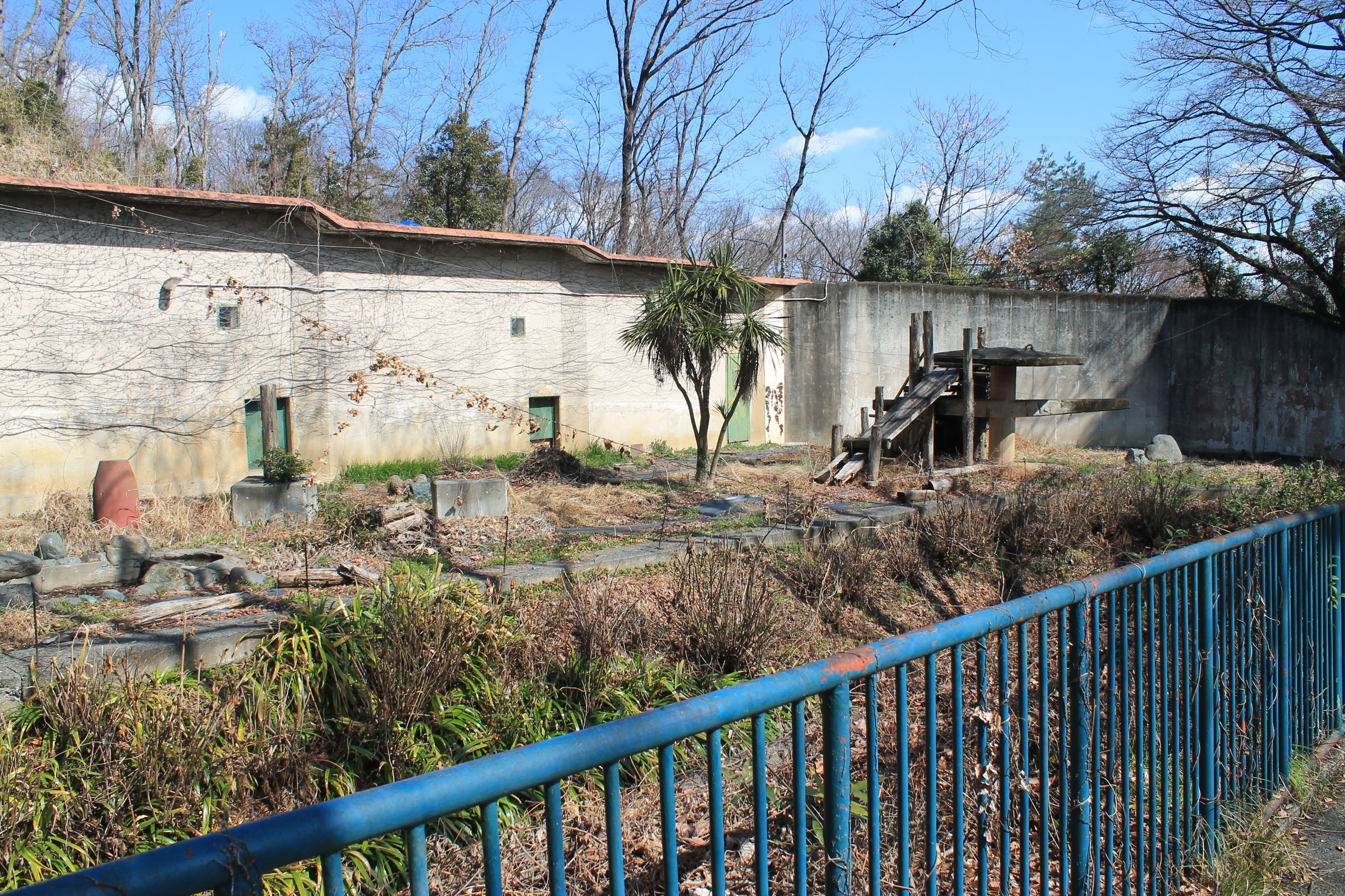 Old Chimpanzee enclosure