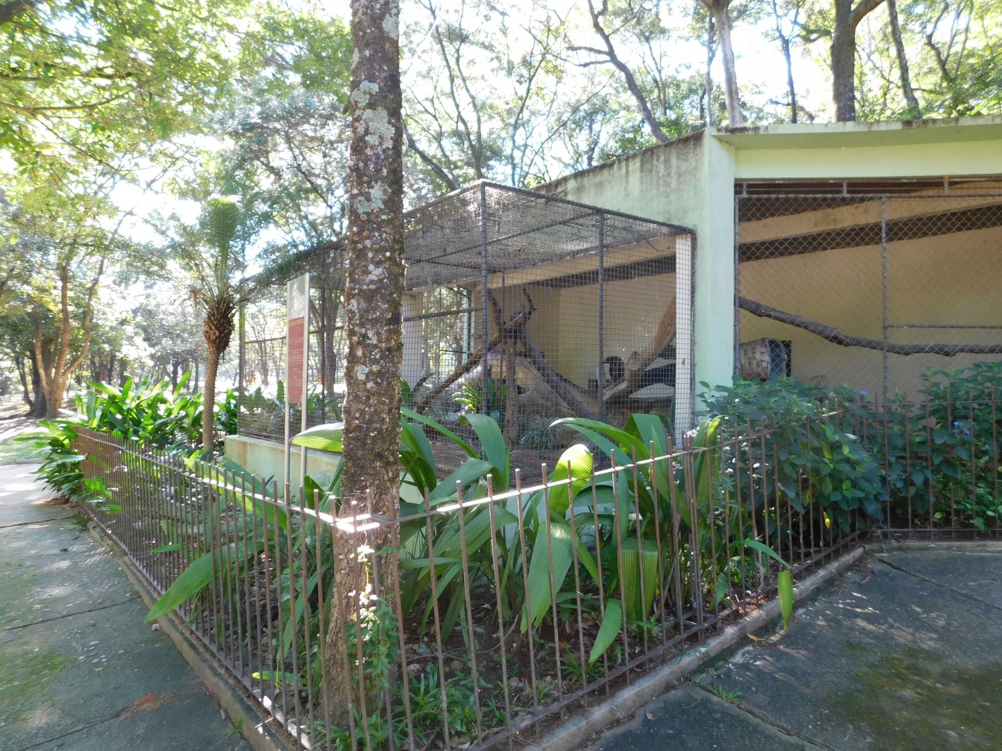 Old chimpanzee exhibit that temporerily holds an ocelot - Belo Horizonte zoo