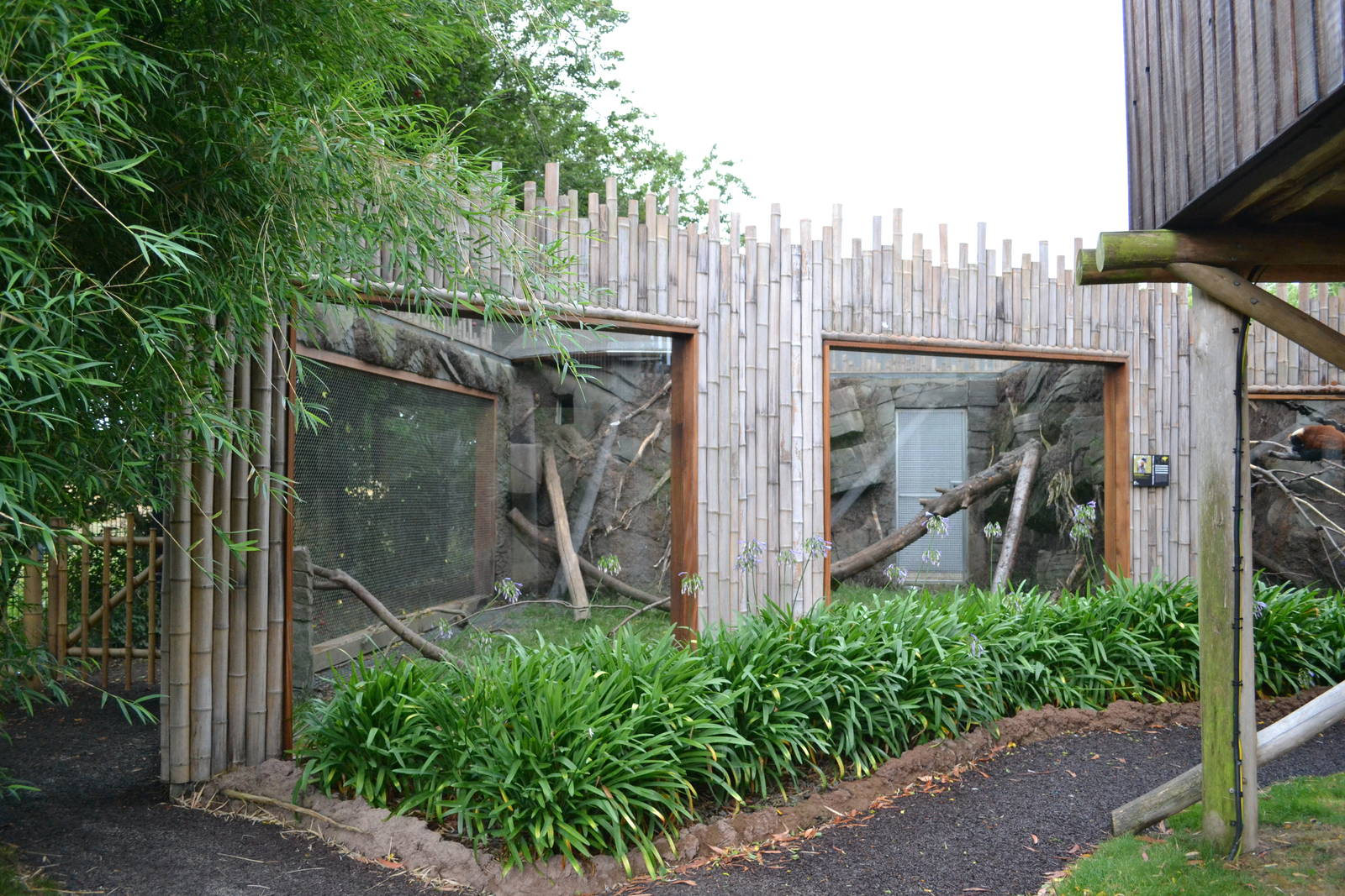 Old Clouded leopard enclosure/Yellow throated marten