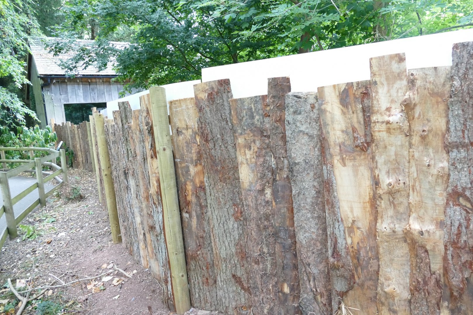 Old coati enclosure, August 2022