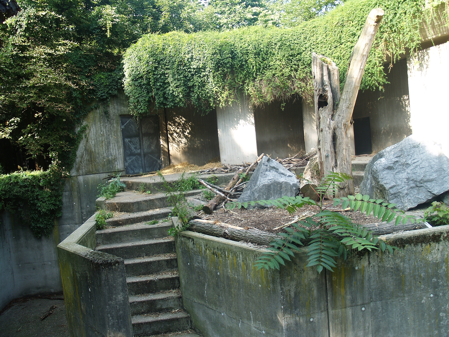 Old concrete Kodiak bear exhibit (Now replaced by modern bear exhibit), 2008-08-06