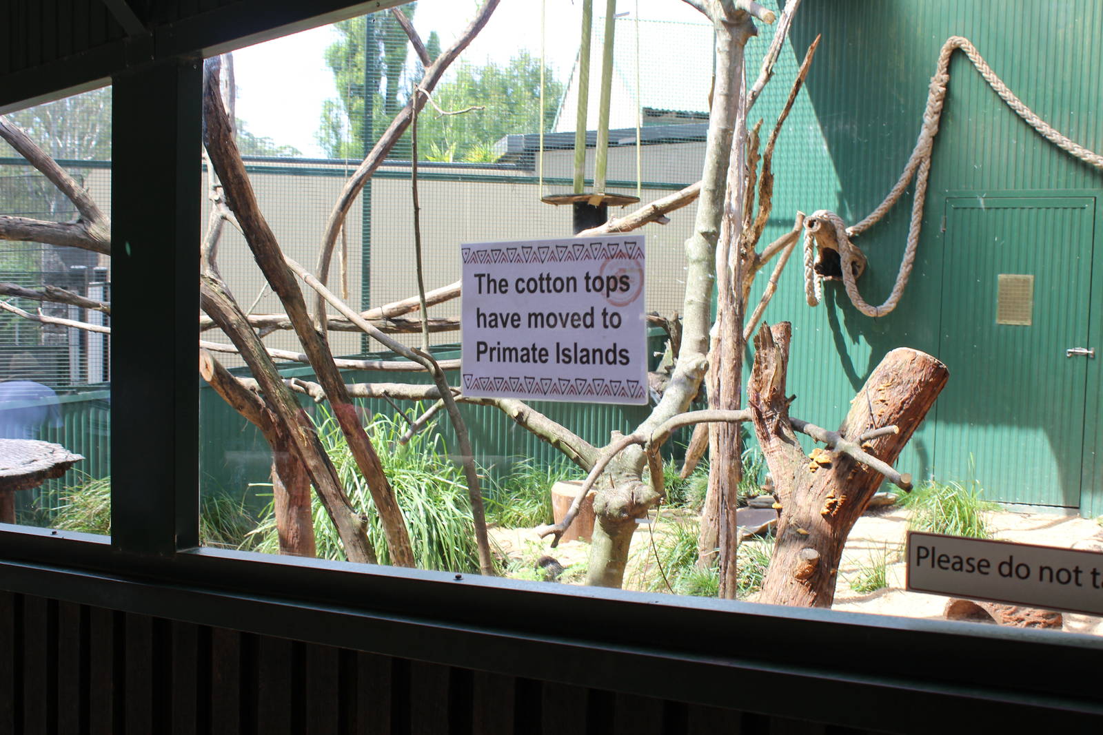 Old Cotton-Top Tamarin enclosure