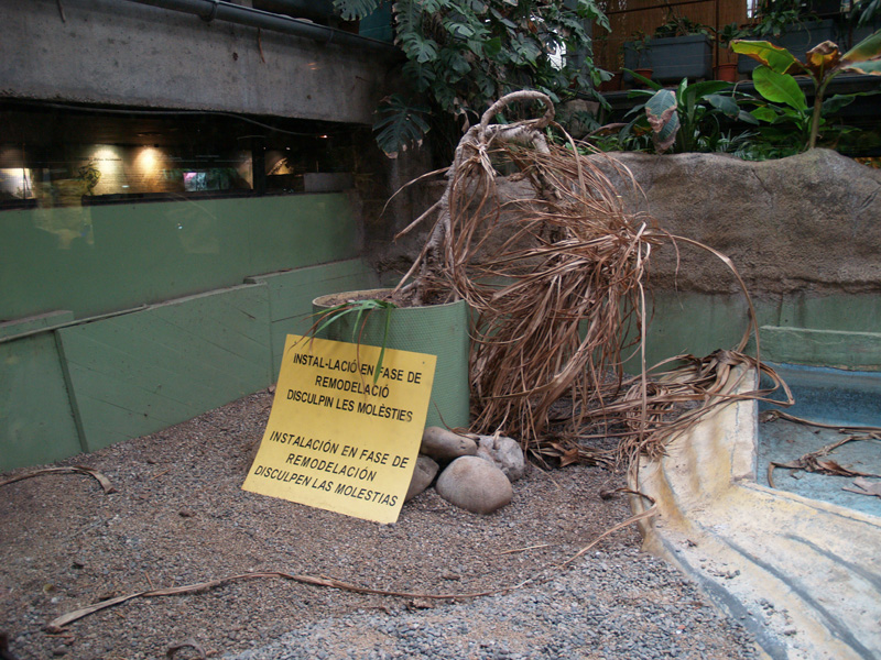 Old Cuban crocodile enclosure - Terrarium