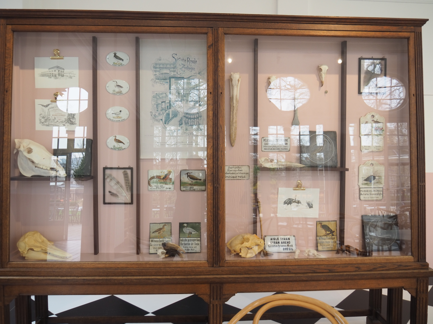 Old display case with animal specimens, old signs and artwork in the Grand Café Flamingo, 2022-03-16