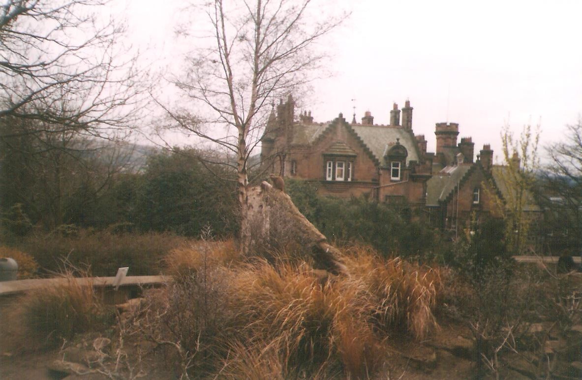 Old Edinburgh Zoo Merkat Enclosure