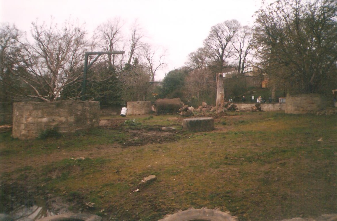 Old Edinburgh Zoo Rhino Enclosure