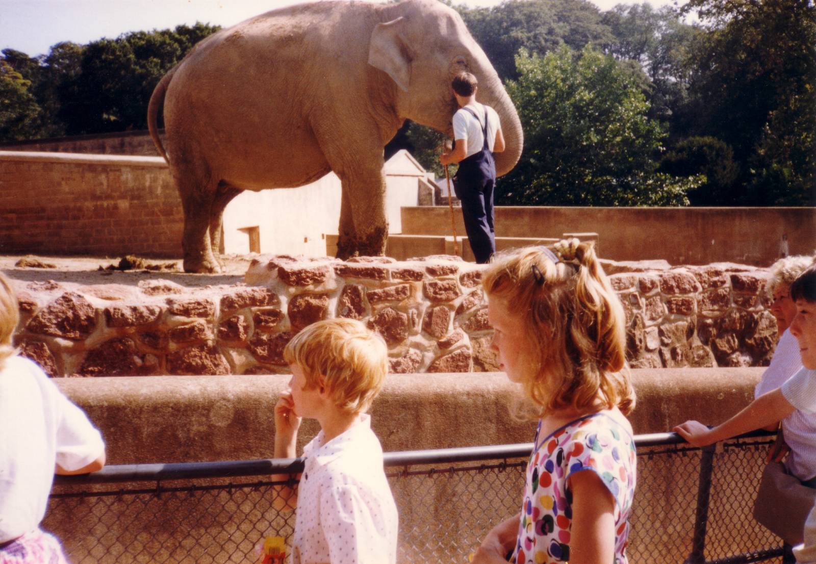 Old Elephant enclosure, August 1989