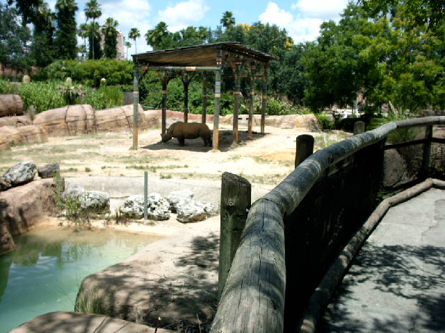 Old Elephant enclosure...july