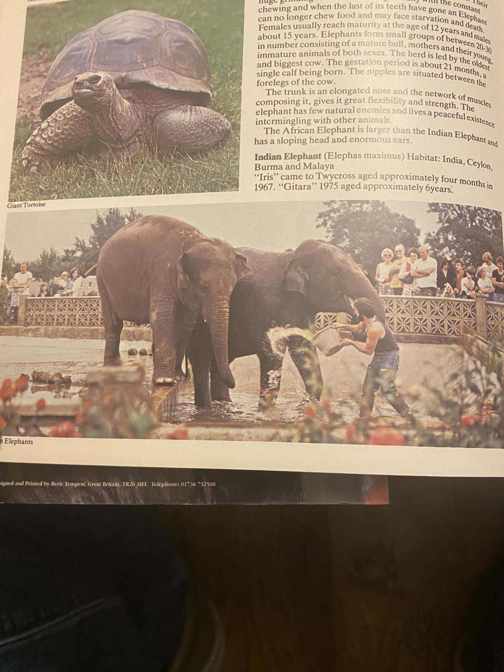 Old elephant enclosure taken from guide book