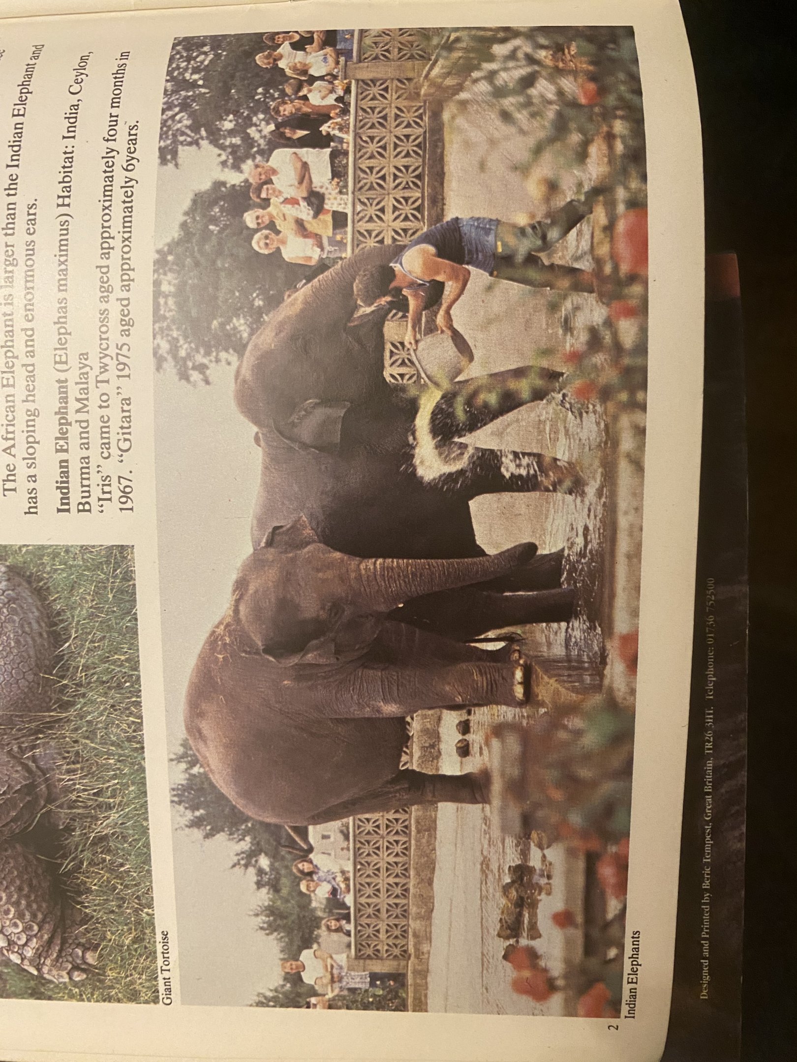 Old elephant enclosure