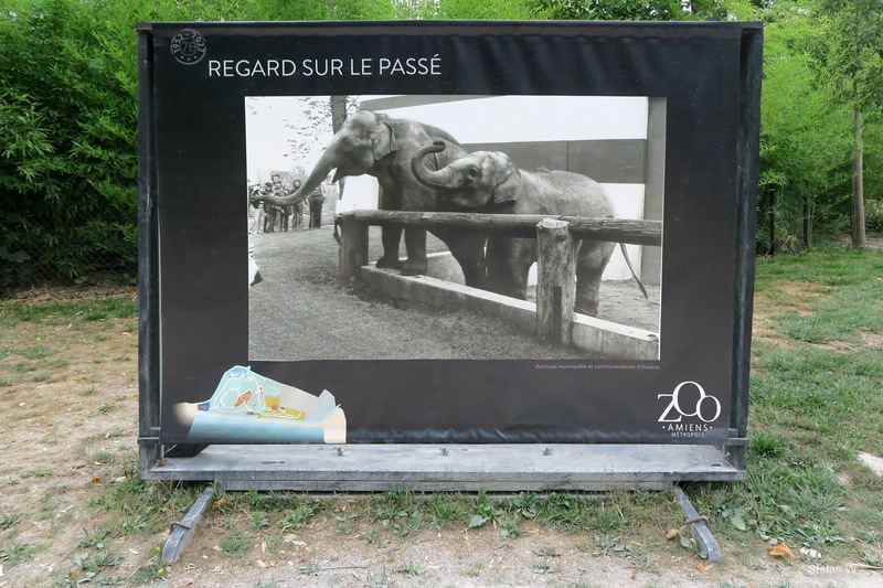 Old elephant enclosure