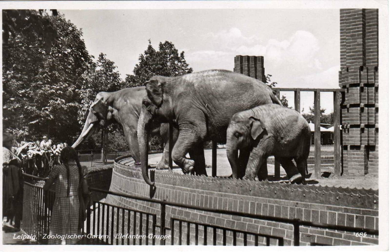 Old Elephant Exhibit