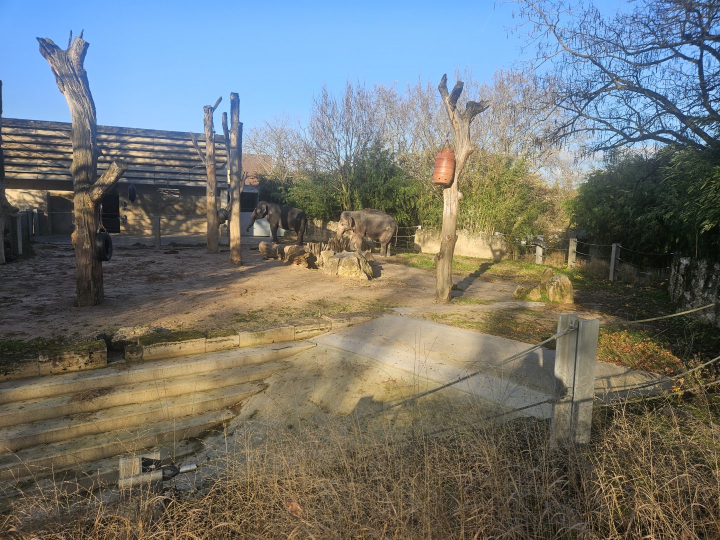 Old Elephant Habitat