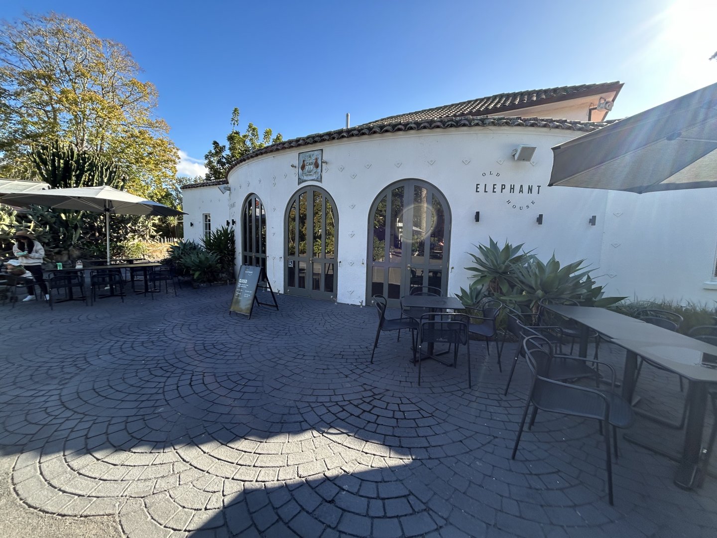 Old Elephant House Cafe